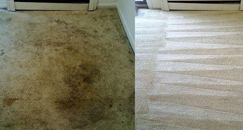 What To Look For In Carpet Cleaning Company