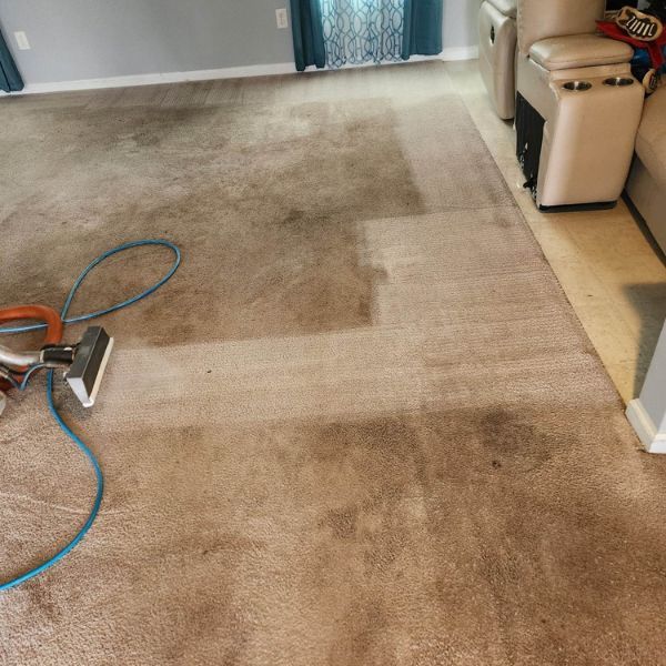 Carpet Cleaning Results (1)