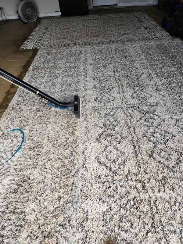 Clean Area Rugs