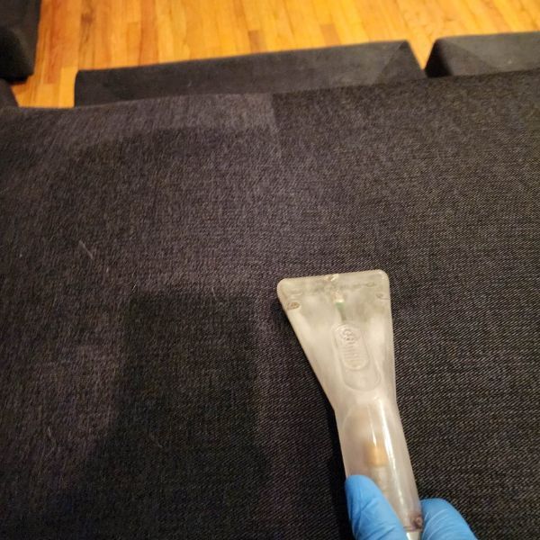 Upholstery Cleaning Results 12