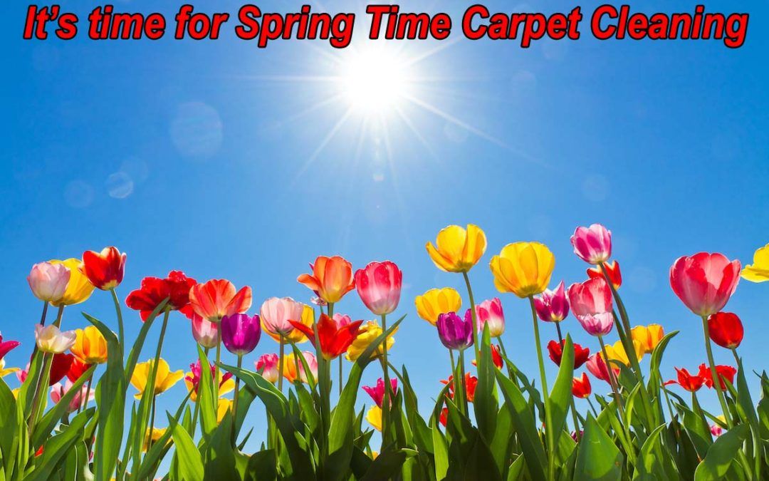 Spring Carpet Cleaning In Anderson Sc