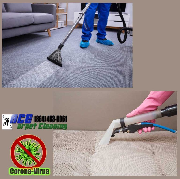 Professional Carpet Cleaning In Mauldin, SC