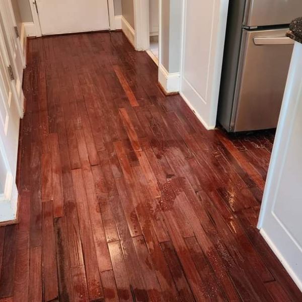Professional Hardwood Floor Sandless Cleaning