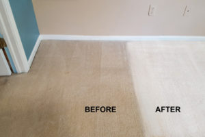 Carpets Before After