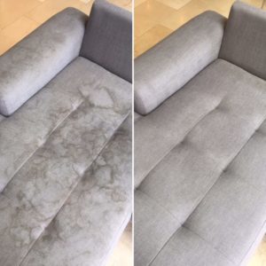 Upholstery Cleaning Anderson