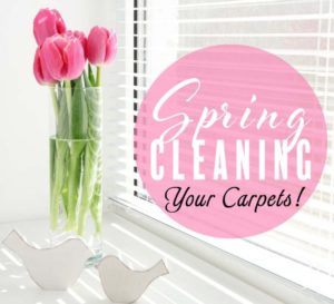 Carpet Cleaning In Anderson Sc