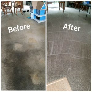 Carpet Cleaning Anderson