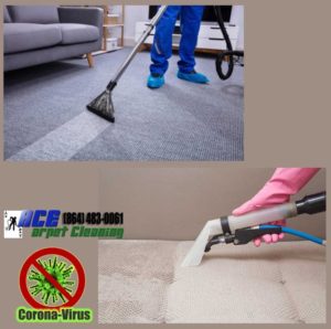 Professional Carpet Cleaning In Anderson Sc